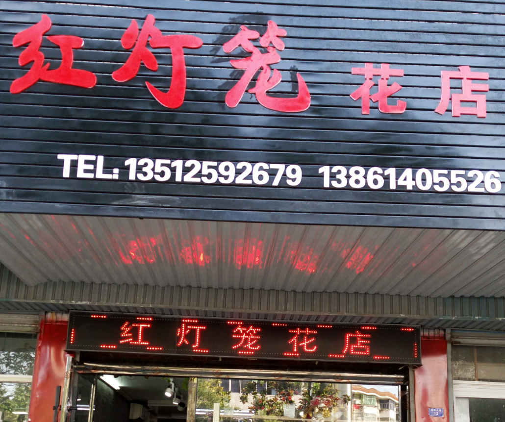 滨海县红灯笼花店