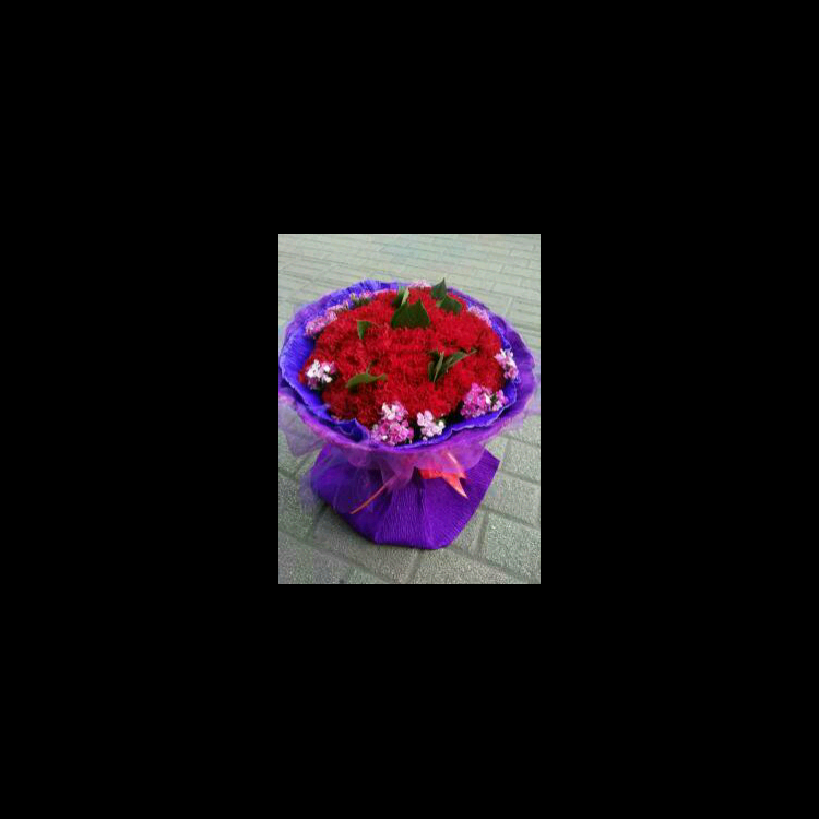 大连普兰店区郁金香花坊