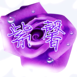 成都武侯区紫馨鲜花