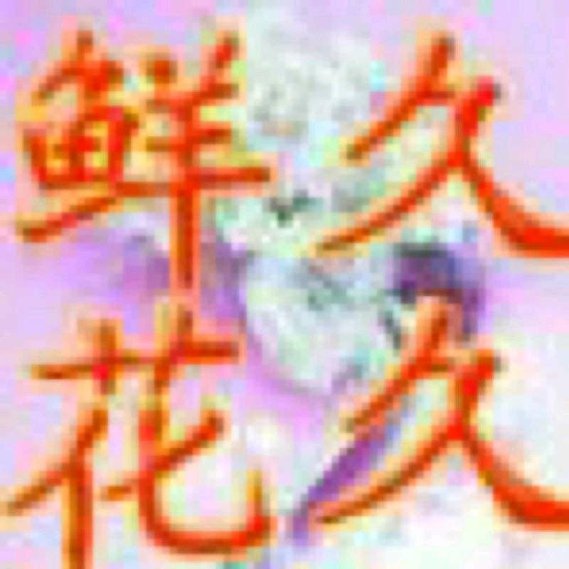 周口川汇区久久鲜花