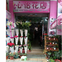 韶关曲江区心怡花店