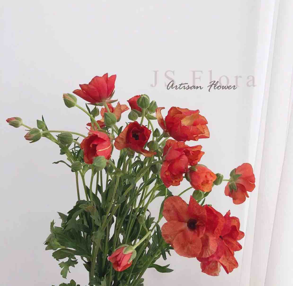 常州市武进区薄荷绿的春天