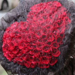 呼和浩特回民区梅子花艺