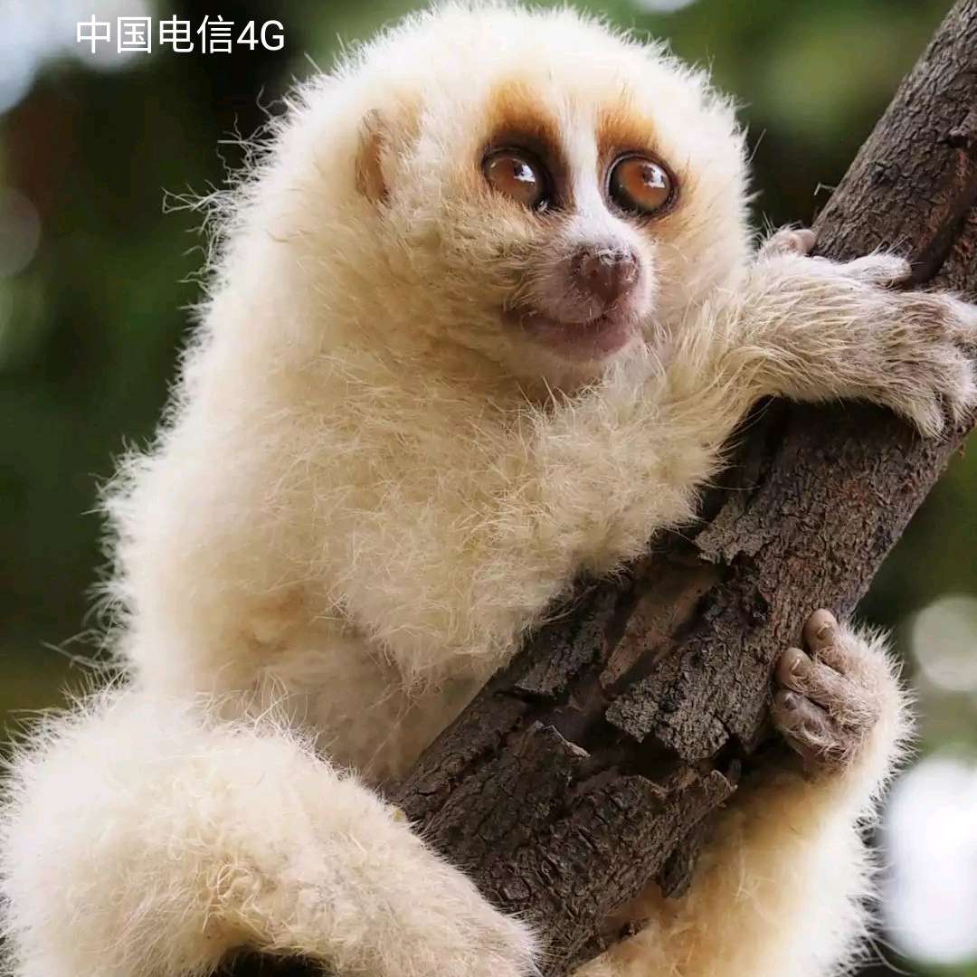 重庆江北区测试店铺