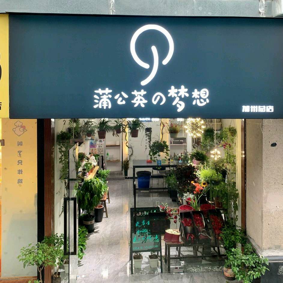 重庆渝北区蒲公英的梦想花屋