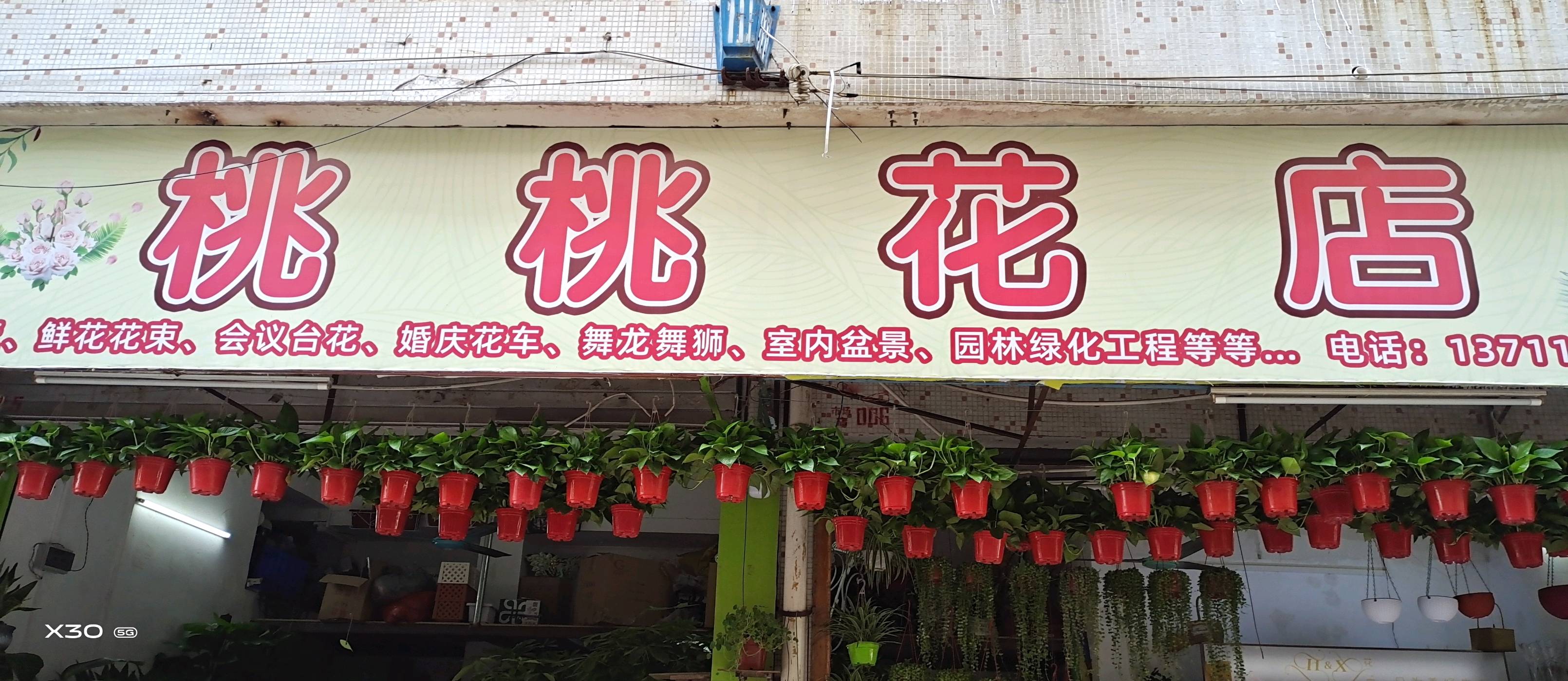 广州从化区桃桃花店