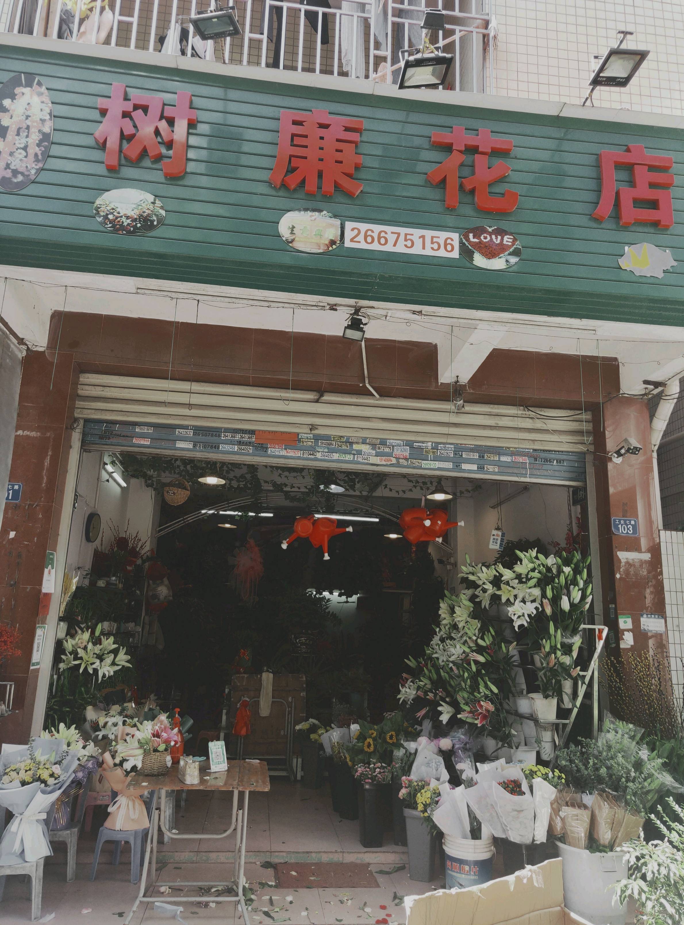 深圳南山区树廉花店