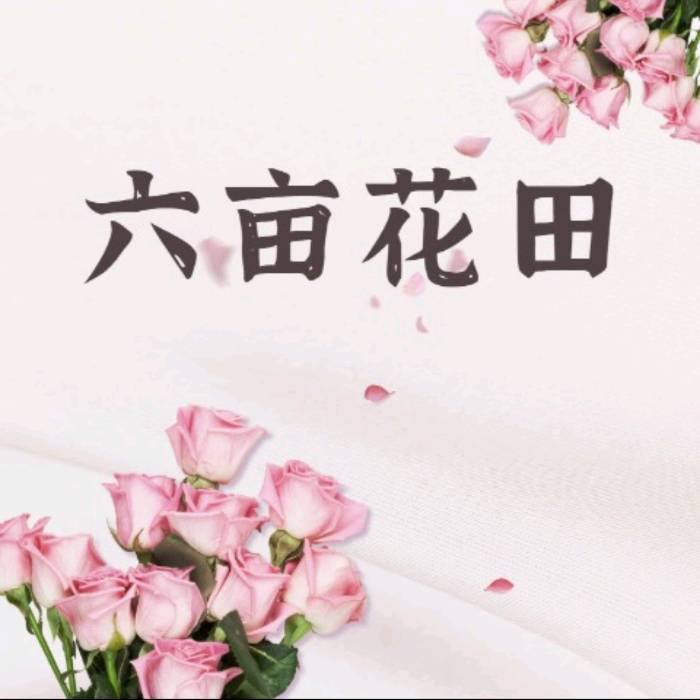 厦门湖里区六亩花田花店