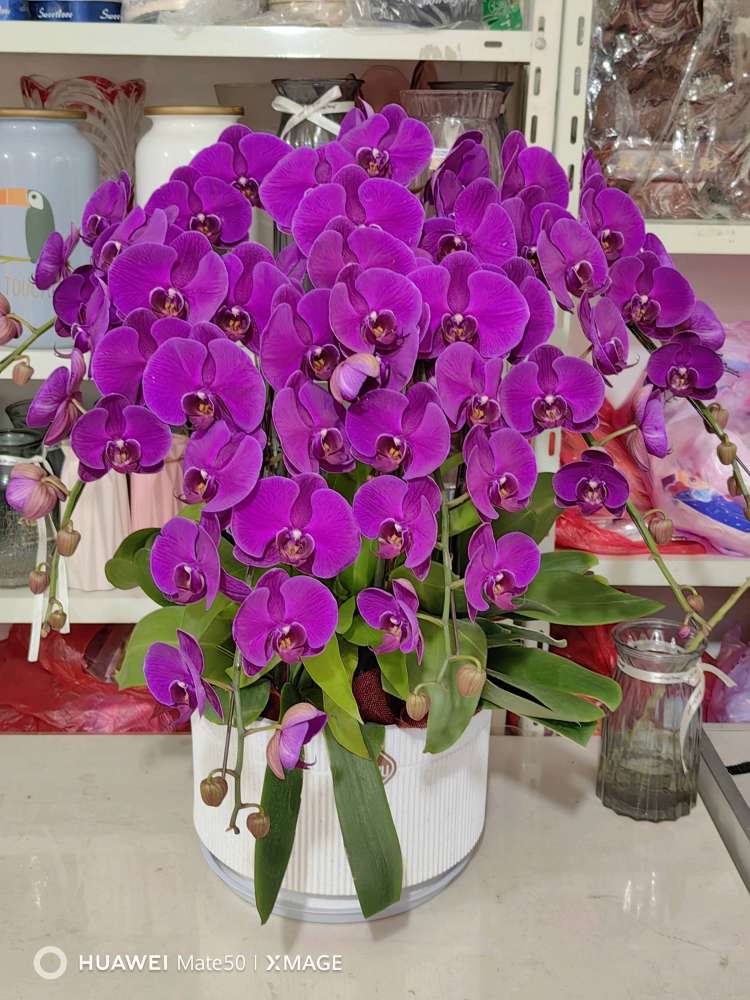 桐乡市东方花店