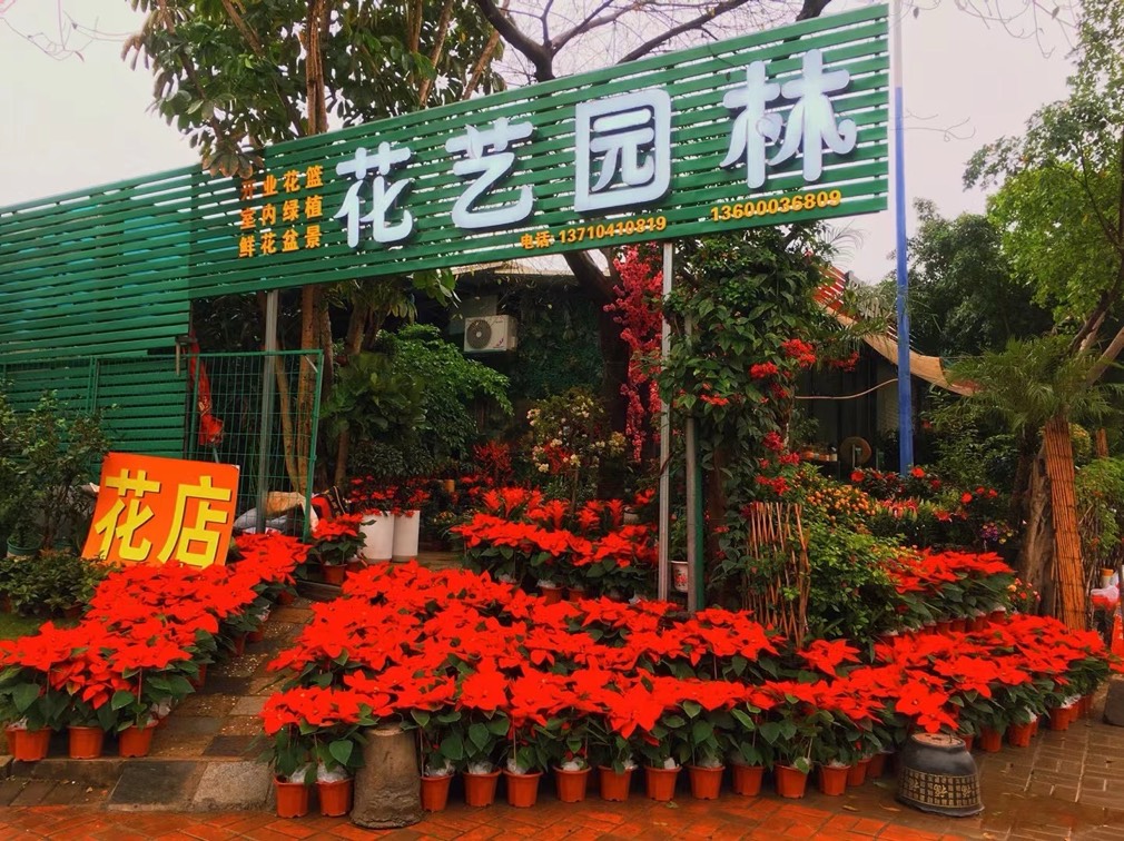 广州番禺区花艺园林