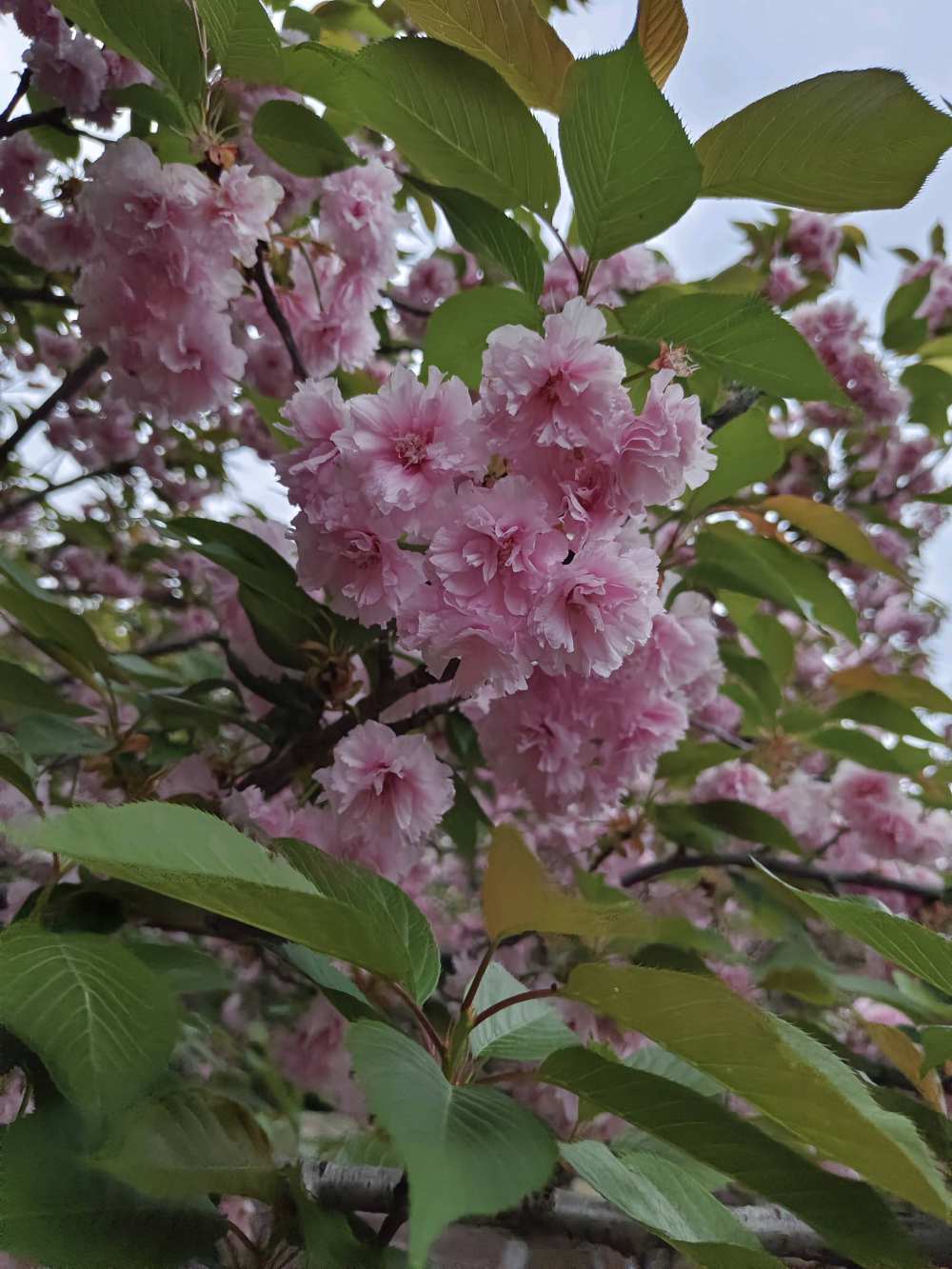 南阳宛城区幸福时刻蛋糕店