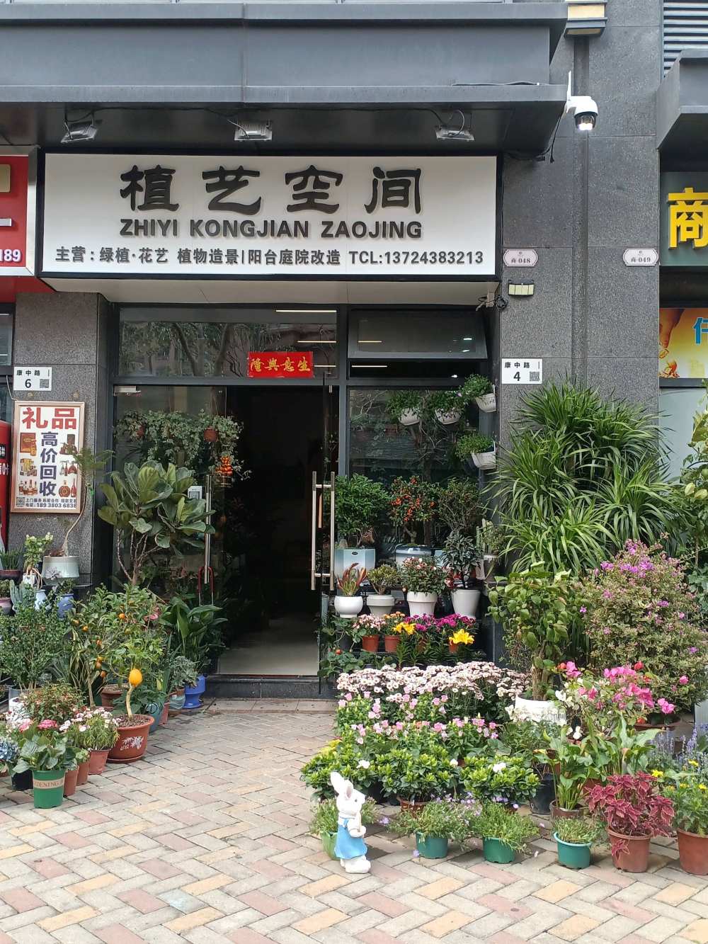 深圳龙岗区植艺空间